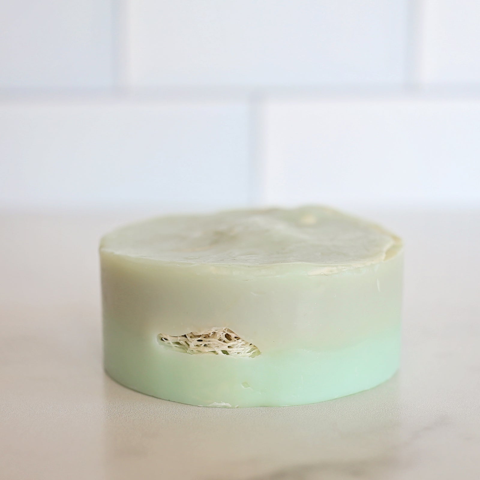 Sea Salt and Agave Loofah Soap